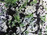 Detailaufnahme Modernes Acrylbild abstrakt grün schwarz weiß