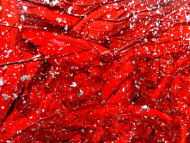 Detailaufnahme Modernes abstraktes Acrylgemälde in rot und silber