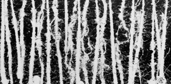 Abstraktes Acrylgemälde in schwarz weiß schlicht modern